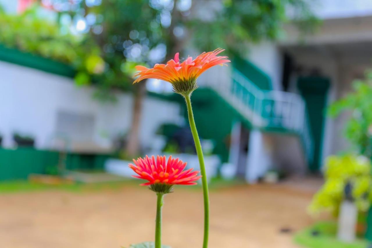 Niwahana Transit City Hotel Katunayaka Buitenkant foto